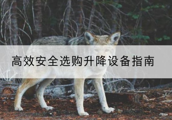太子河升降货梯厂家推荐-*安全选购升降设备指南