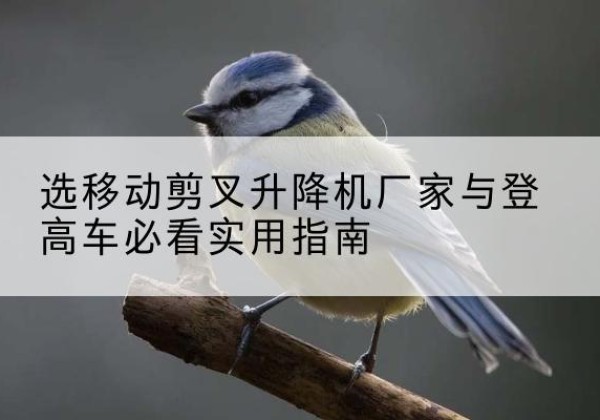 太子河电动升降机厂家-选移动剪叉升降机厂家与登高车必看实用指南